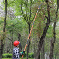 Scie d'élagage manuelle, élagueur d'arbres télescopique de 2,2 à 8,2 m, ébrancheur manuel avec 8 poignées légères en fibre de verre, pour l'élagage des palmiers et des arbustes