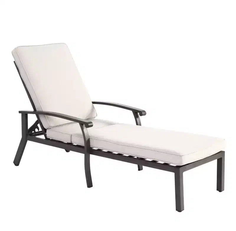 Whisen Patio Chaise Lounges, Outdoor Aluminium Cast Lounge Chair